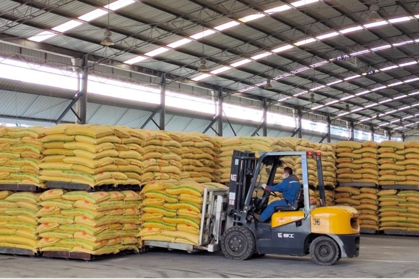 起步就是沖刺！他們開啟龍年加速跑②